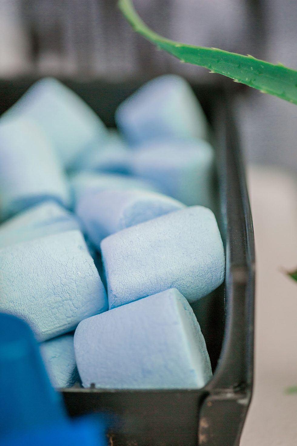 Kids Party Photographer Gauteng