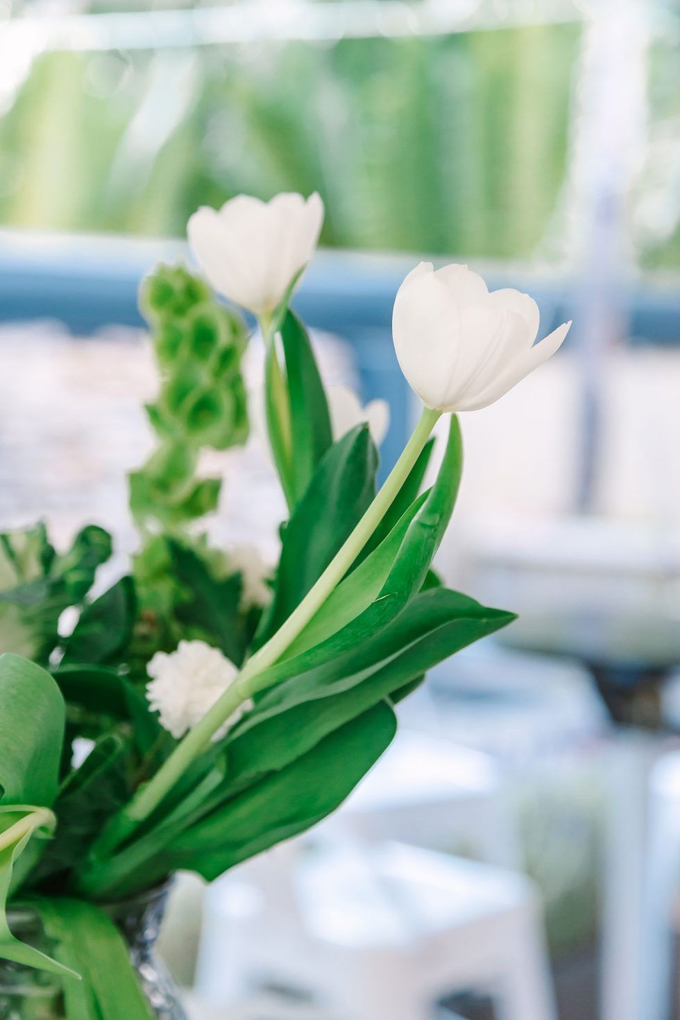 Pretoria Family Party Photographer