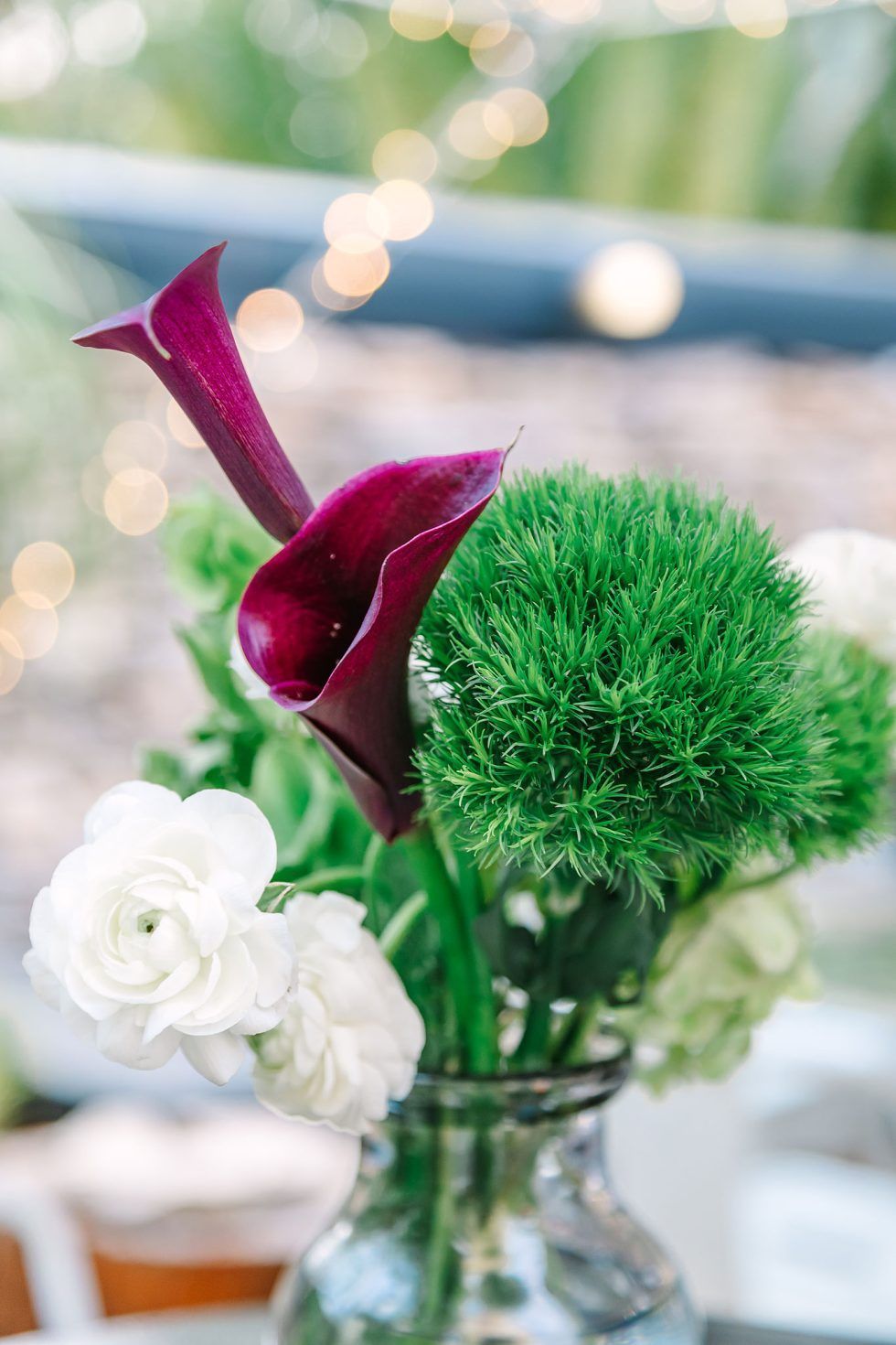 Pretoria Family Party Photographer