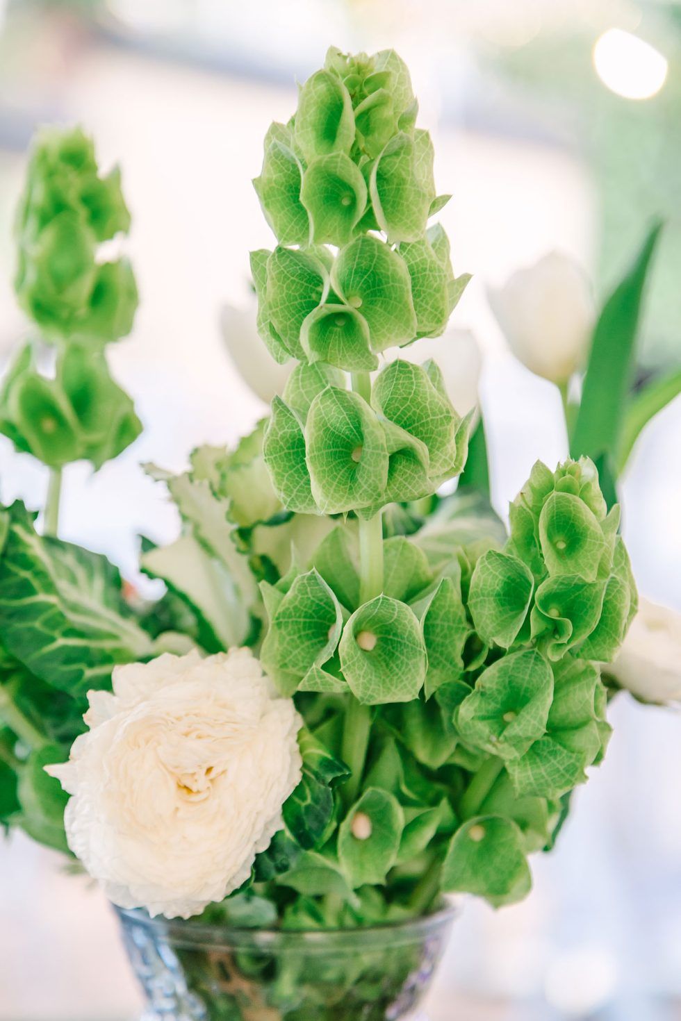 Pretoria Family Party Photographer