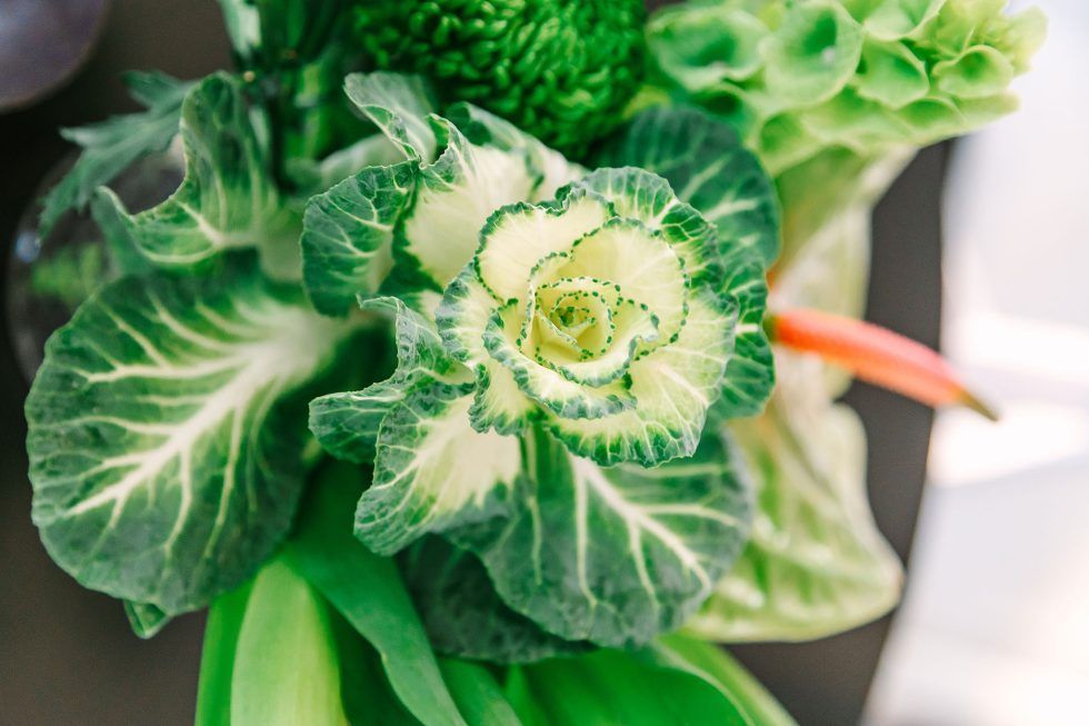 Pretoria Family Party Photographer