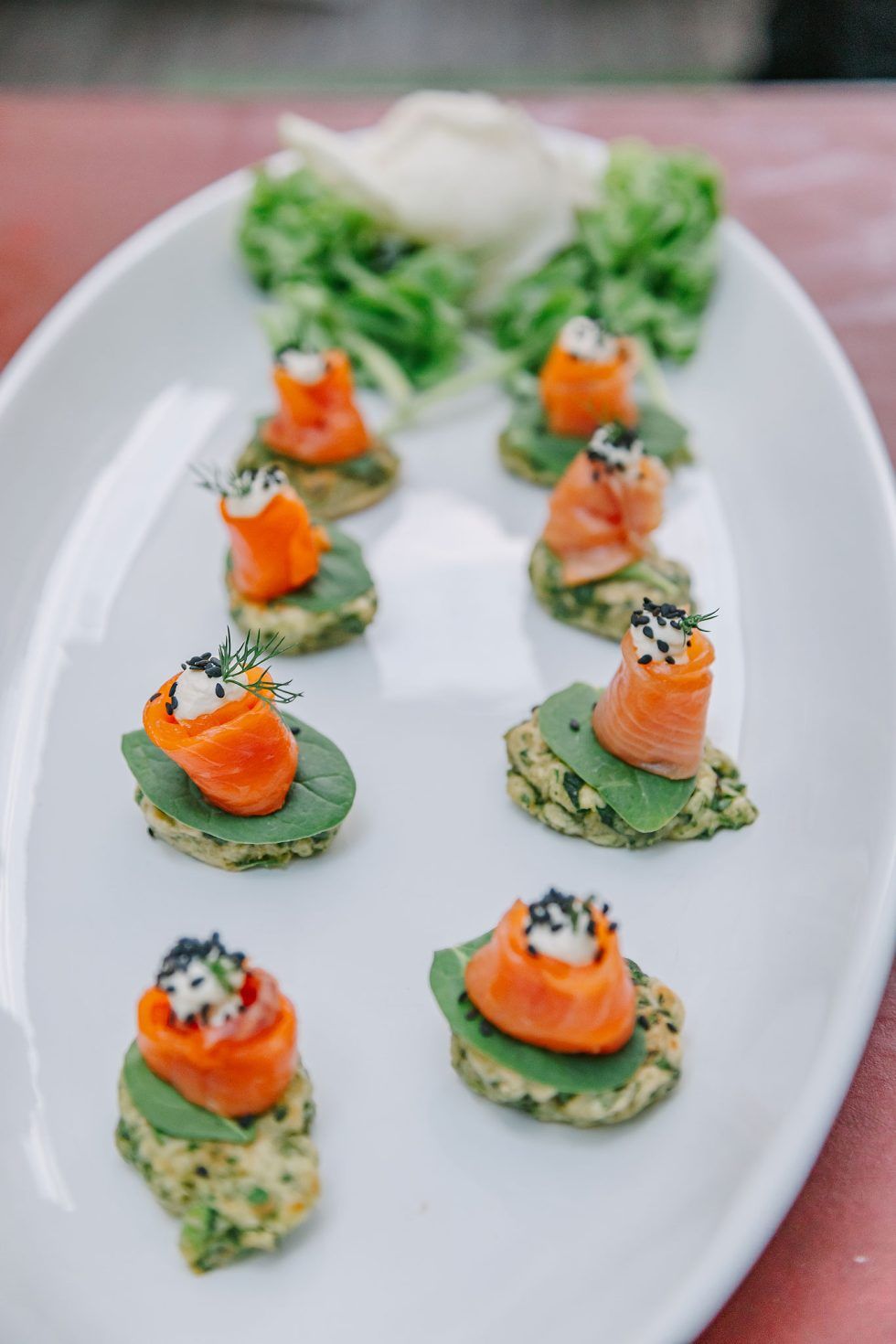 Pretoria Family Party Photographer