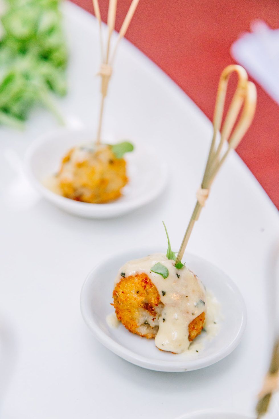 Pretoria Family Party Photographer