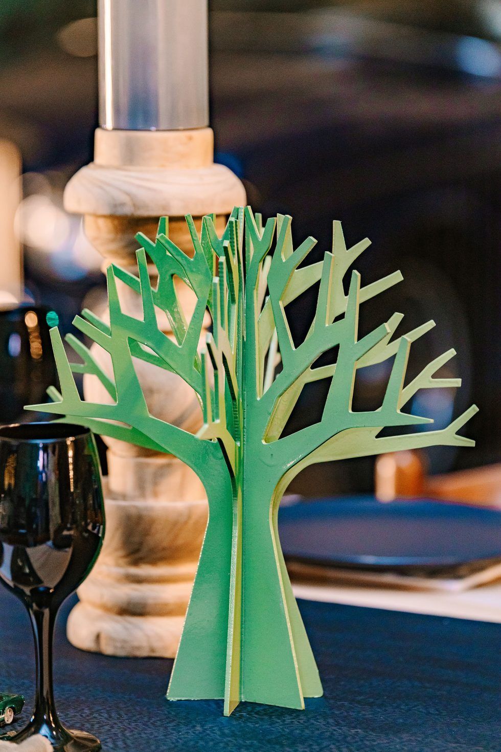 Pretoria East Family Party Photographer