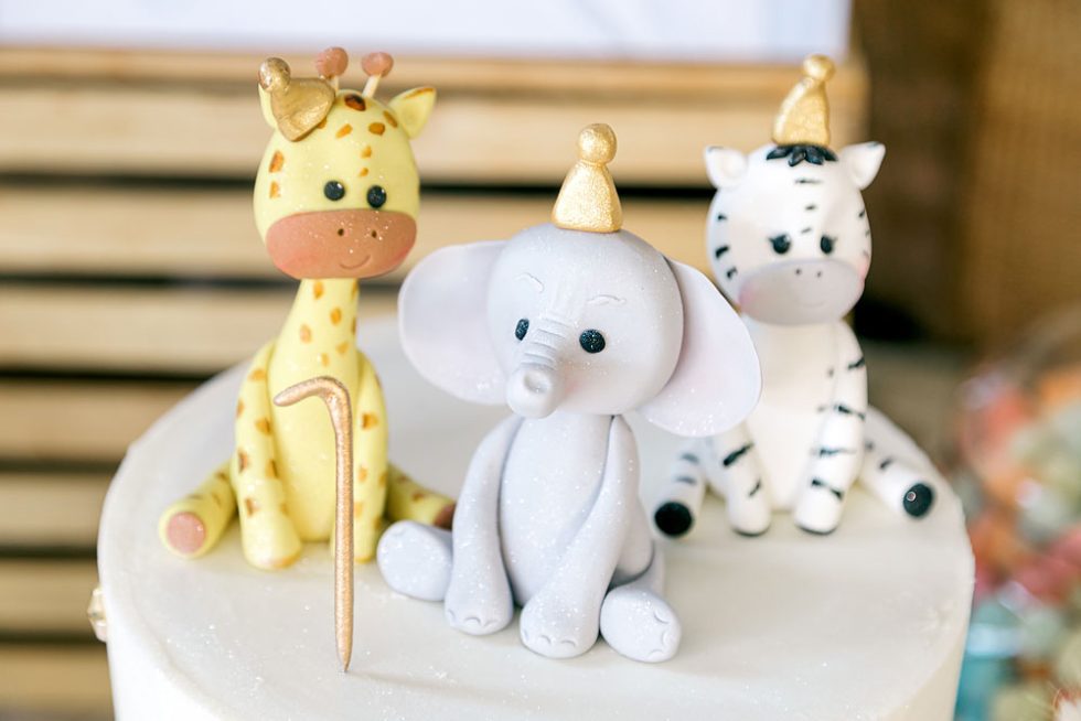 Pretoria 1st Birthday Party Photographer